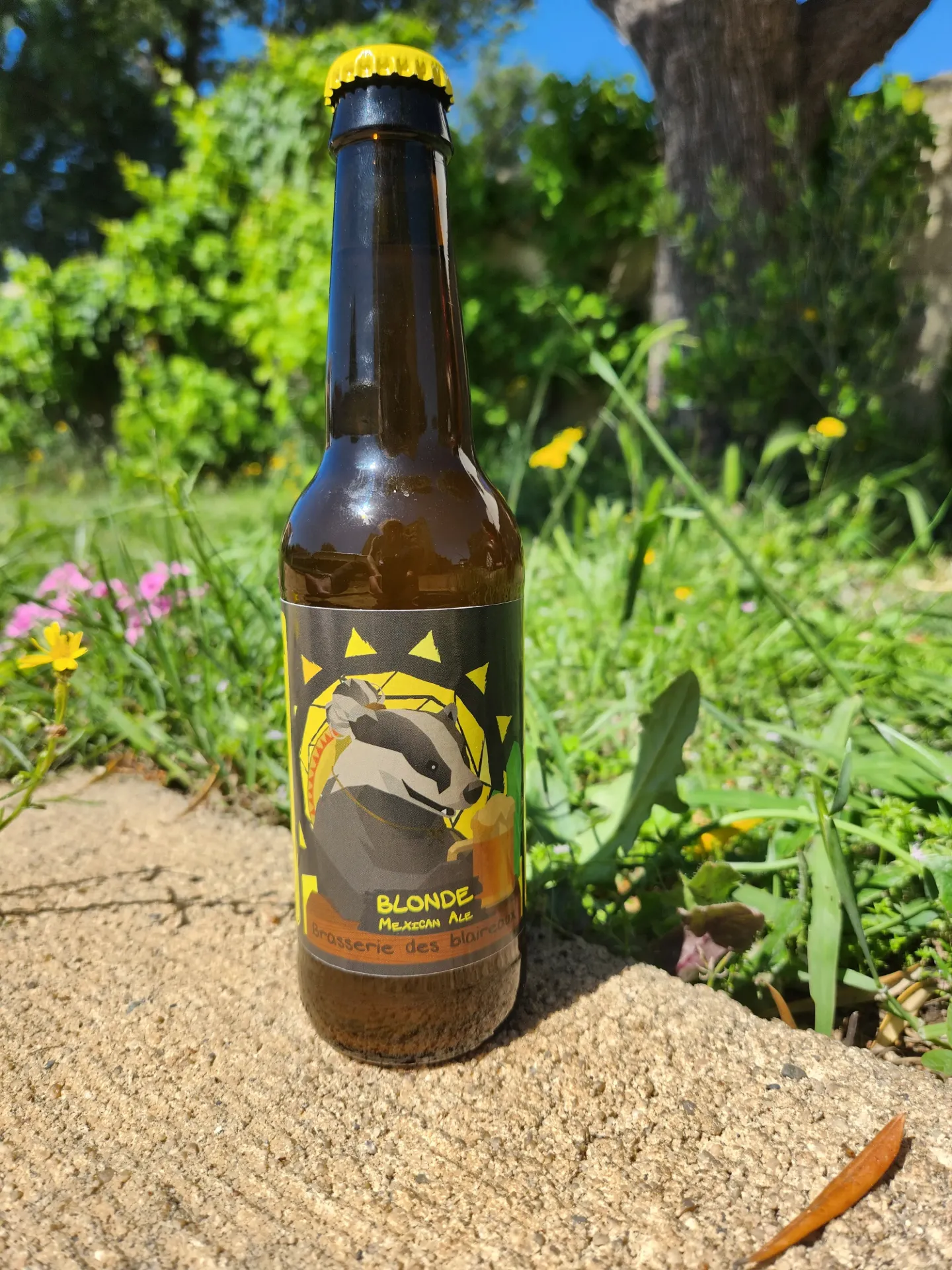 Bière Blonde Mexi Caña - 33cl
